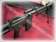 Israel - DROR LMG